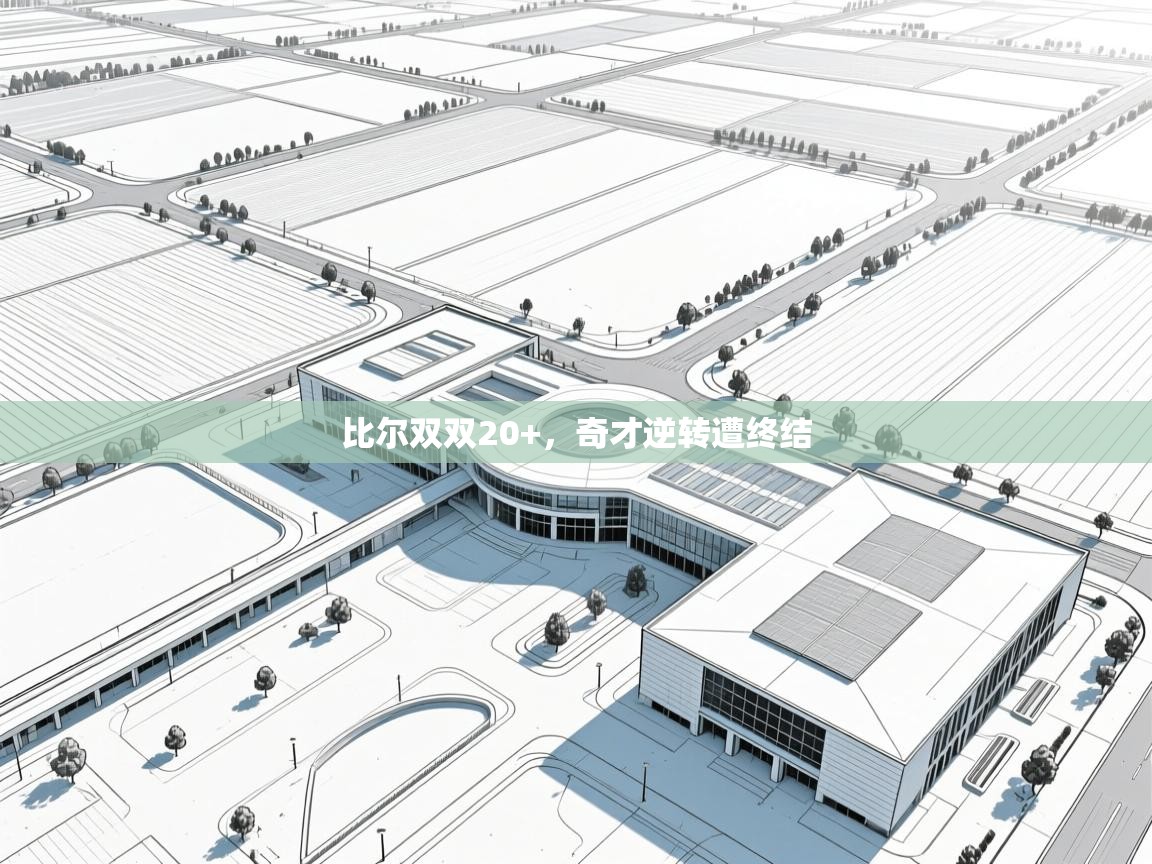 比尔双双20+，奇才逆转遭终结  第2张