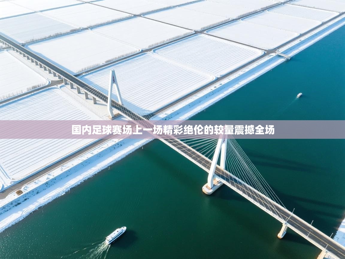 国内足球赛场上一场精彩绝伦的较量震撼全场  第1张