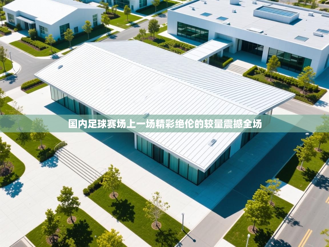 国内足球赛场上一场精彩绝伦的较量震撼全场  第2张